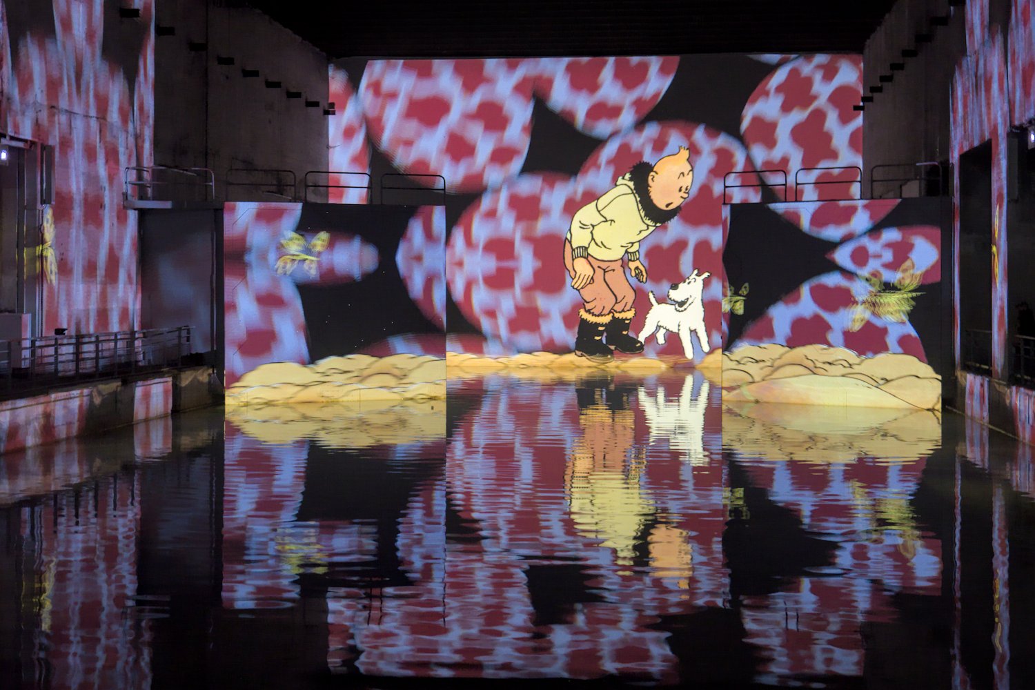 L'étoile mystérieuse