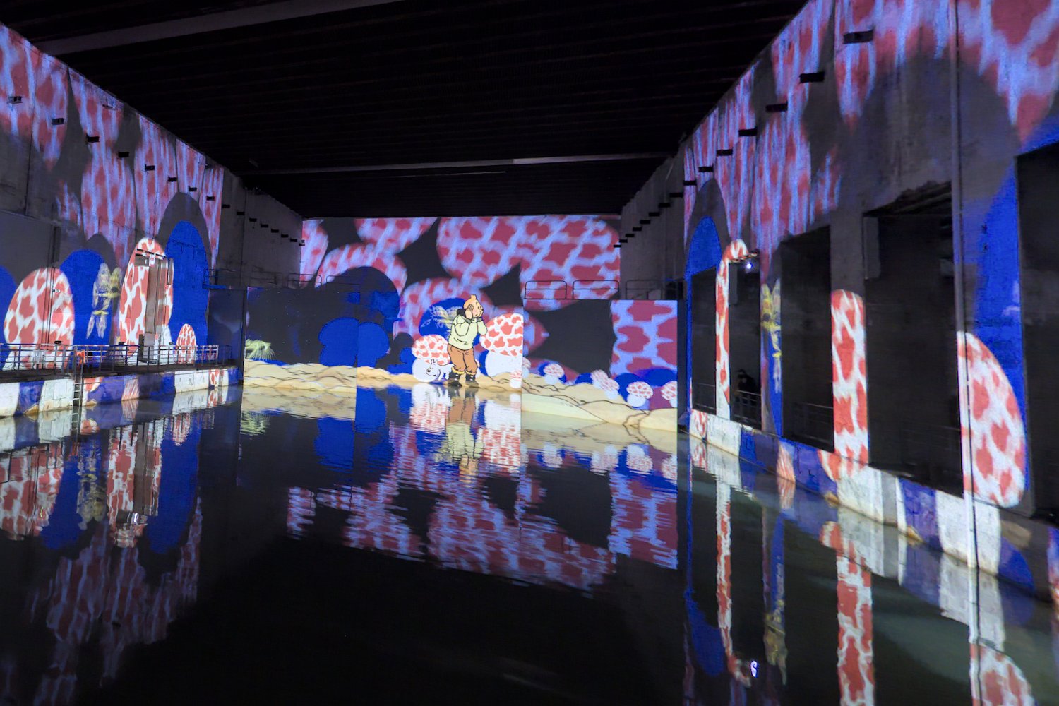 L'étoile mystérieuse