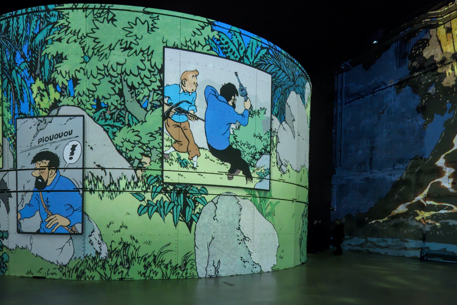 Tintin et les Picaros